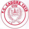 logo 1919 CADORE